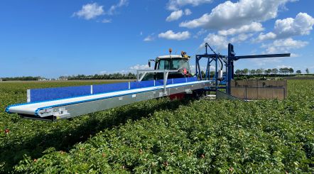 Integra harvesting belt